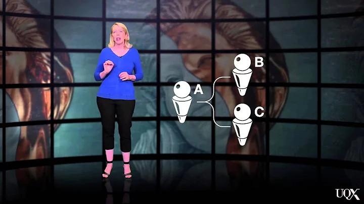 UQx META101x 2.11.1.3 Fission