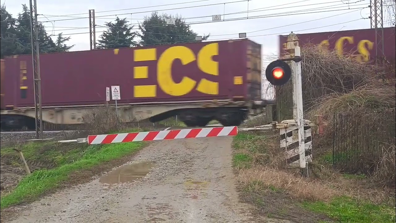 Si abbassano le STORICHE CAMPANE... E ARRIVA un MEGA TRENO LUNGHISSIMO a VIGNALE!!! 