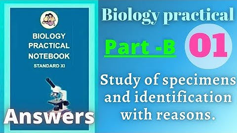 Study of specimens and identification with reason biology practical class 11 experiment 1 b answers