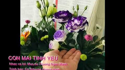 CÒN MÃI TÌNH YÊU / Nhạc và lời: Mục sư Trương Ngọc Mạnh / Trình bày: Cs Nguyễn Hoàng Nam
