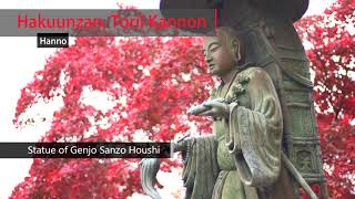 Saitama Shrine and Temple Tour