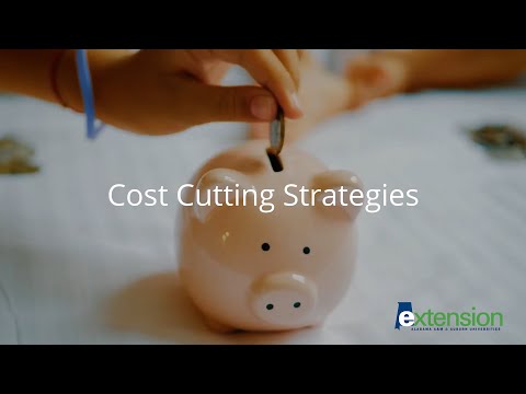 Cost Cutting Strategies