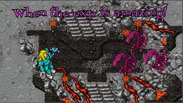 Tibia how to get amazing experience at low level in Wyrms 45-50+ Max 5 min series.