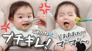 【離乳食】しーくんブチギレりっくん大騒ぎ何とか初めての「しらす」  を終えました。1歳7ヶ月と歳7ヶ月 1year and 7month  0year and 7month