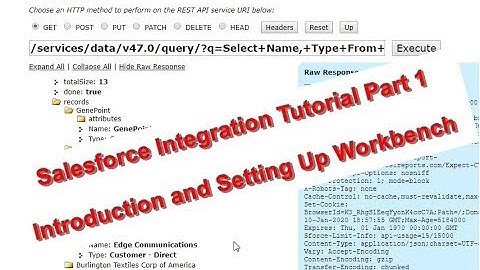 Salesforce Integration Tutorial Part 1 - Introduction and Setting up Workbench