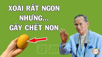 Tuyệt Đối Không Ăn Xoài Nếu Chưa Xem Video Này... Rất Hại Sức Khỏe Khi Ăn