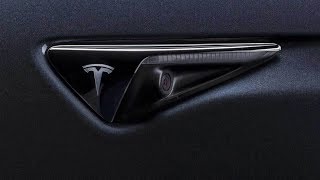 Tesla Cameras Can See Everything