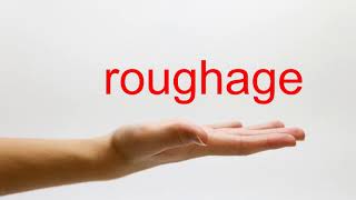 How to Pronounce roughage - American English
