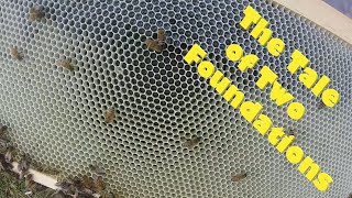 Trying A New Frame Foundation-A Test