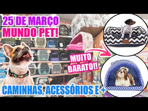 Vídeo: 8 ótimos Recheios De Meia De Natal Para Amantes De Cachorros