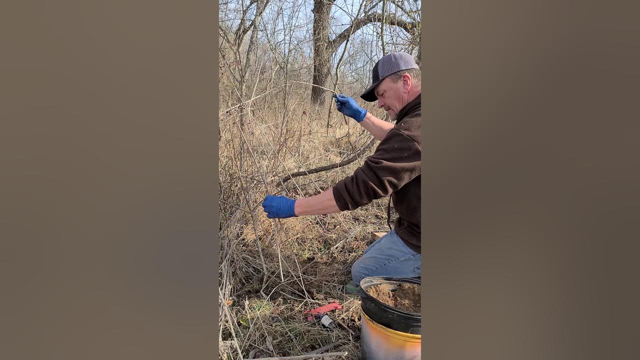 Setting a cubby set for bobcats YouTube