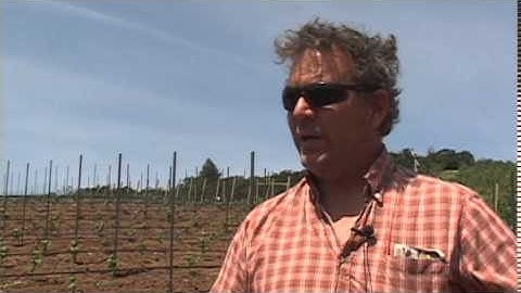Oregon winemakers warn against herbicide 2,4-D - May 12th, 2014