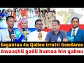 Awaashii Gadii Humaa Hin Qabnu M N Oromiyaa Aadaa Gondaree Sagantaa 4N Qalloo Irratti Awaashii Gadii Humaa Hin Qabnu M N Oromiyaa Aadaa Gondaree Sagantaa 4N Qalloo Irratti