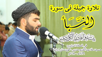 سورة النبأ كاملة من صلاة التهجد للقارئ بيشه‌وا الكوردى ليلة 28- رمضان 1439-Full HD