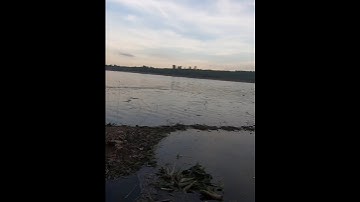 Cú táp nổ như pháo của cá lóc Hồ Sông Mây.giật cả mình.