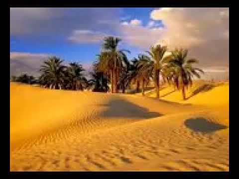 موعظه للعلامة أبن عثيمين رحمه الله والله لو أن القلوب سليمة