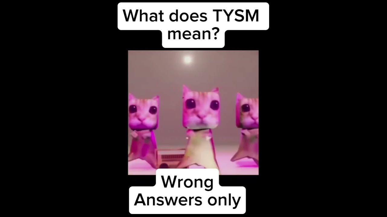What does TYSM mean wrong answers only in the comments YouTube