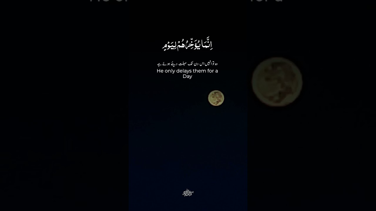 Never Think Allah Is Unaware. — Mohammad shaban YouTube video