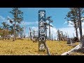 【黄金色の森】東大台ヶ原の散策 : Walking Around Mt. Odaigahara（Nara, Japan）