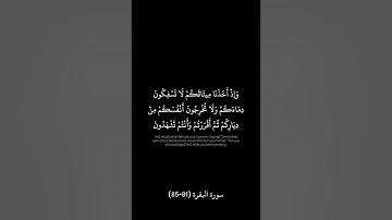سورة البقرة من الاية (81-85) #قران_كريم #قرآن #quran #سورة_البقرة #ختمة
