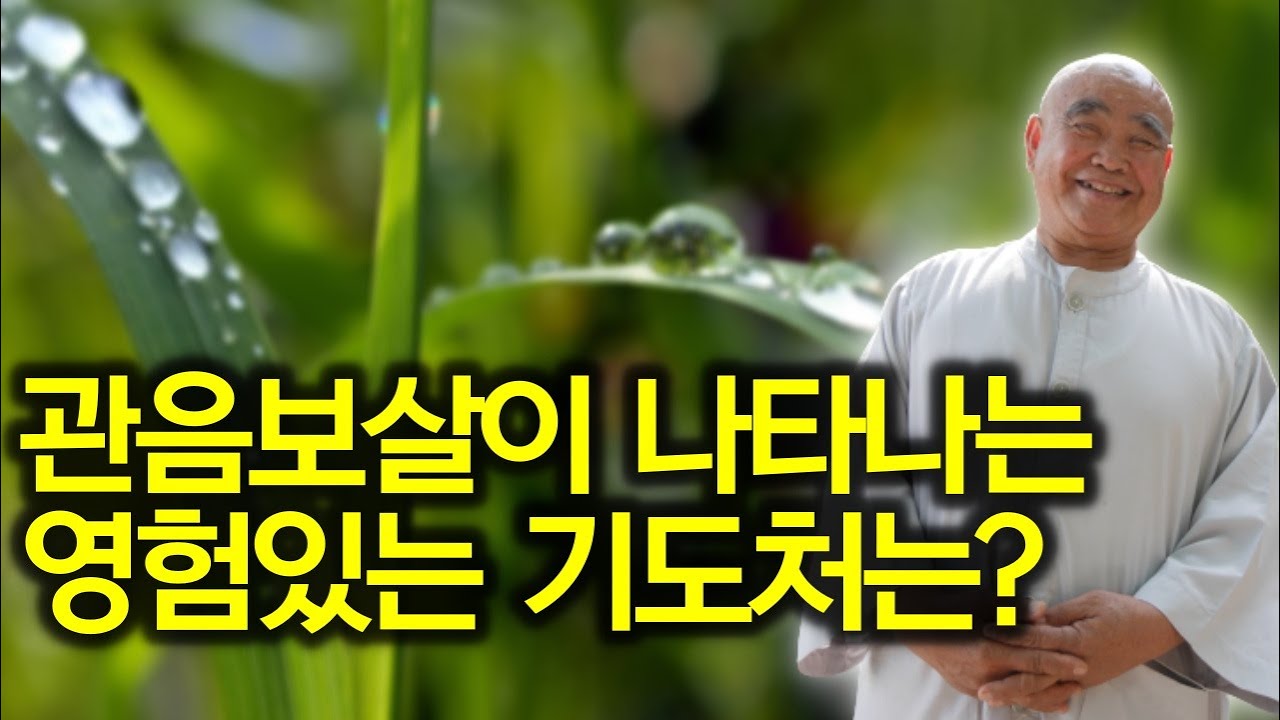 사주풀이, 부적팔이 하는 절이 부끄럽다 | 향봉스님이 우연히 만난 사람들의 기가 막힌 인생 이야기 | '산골 노승의 화려한 점심' 향봉스님 2