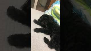 IMG 2471