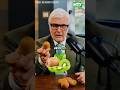 Never Peel Kiwis ЁЯеЭ HereтАЩs Why Never Peel Kiwis ЁЯеЭ HereтАЩs Why