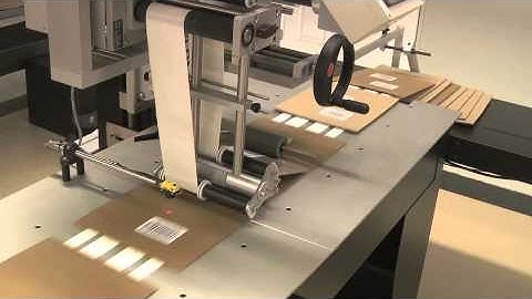 Top Apply Flat Carton Labeling System