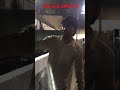 work at gulf country. Bahrain. #like #video #manama
