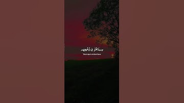 اكتب شيء تؤجر عليه 😴💚 قران كريم | ياسر الدوسري