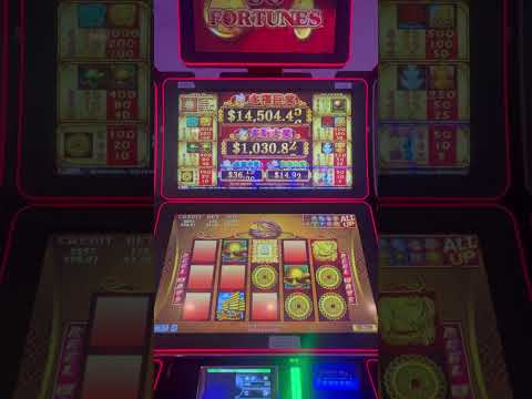 I Started a Buffalo Gold Bonus with 15 Buffalo Heads—But What Will It Pay? | Vegas Casino Slots