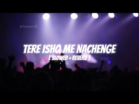 Tere Ishq Mein Nachenge [ Slowed & Reverb ] Kumar Sanu | Raja Hindustani | 90s Song Lofi