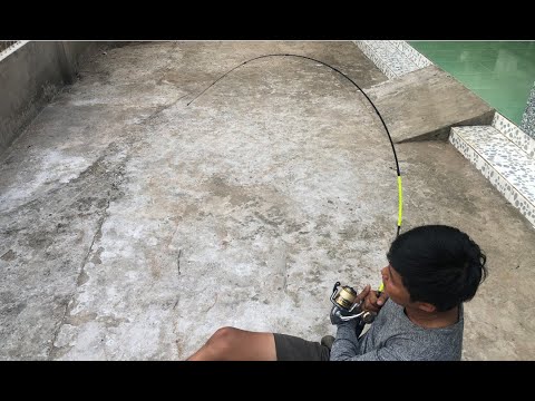 Video TEXT CẦN CÂU CÁ ĐA NĂNG CHO NÓ GÃY MÀ KHÔNG GÃY ĐƯỢC - youtube