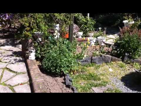 გოგოებო მაგარი ამბავი ჩამოგიტანეთ ქალაქიდან!   ცენზურისთვის ბოდიშს გიხდით.