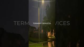 Download Lagu Termite Threat | Terminix Story MP3