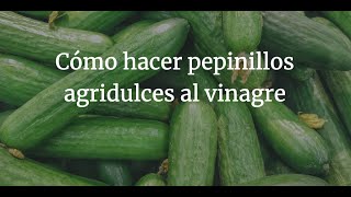 Cmo Hacer Pepinillos Agridulces Al Vinagre