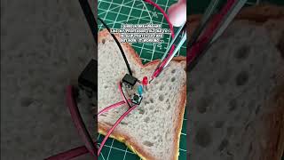 Professor said "use a breadboard"...So l used REAL bread #electronics