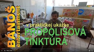 Propolisová tinktúra