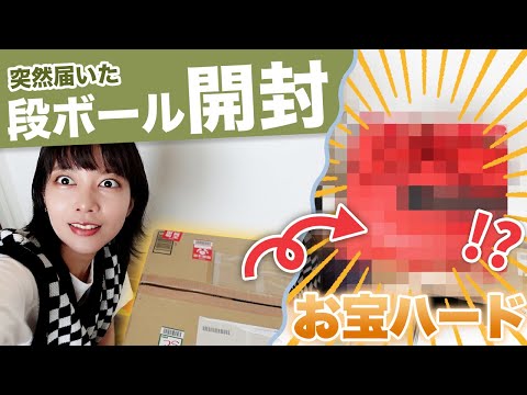 プロフ必読】ゲーム ダンボール 中身 そのまま 発送 プロフ必読