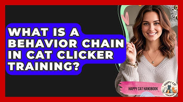 What Is A Behavior Chain In Cat Clicker Training? - Happy Cat Handbook