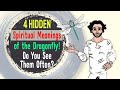 4 Hidden Spiritual Meanings of the Dragonfly! Do You See Them Often?