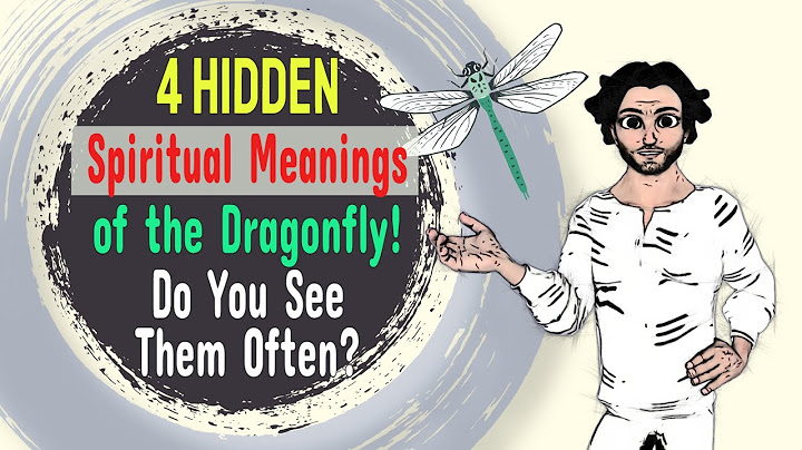 4 Hidden Spiritual Meanings of the Dragonfly! Do You See Them Often?