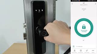 RAYKUBE K7 Smart Lock Tuya Bluetooth Set Up Method