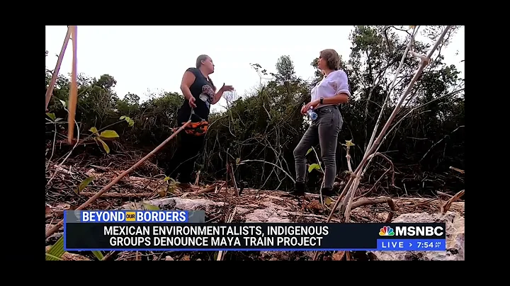 Mexico’s Maya Train carries archeological and environmental risks