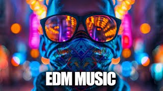 EDM Music Mix 2024🎧Mashups & Remixes Of Popular Songs🎧Bass Boosted 2024