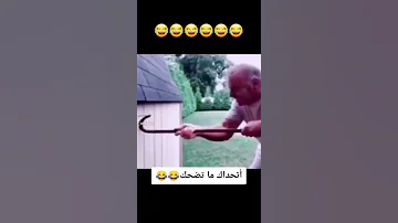 قروبات واتساب 
