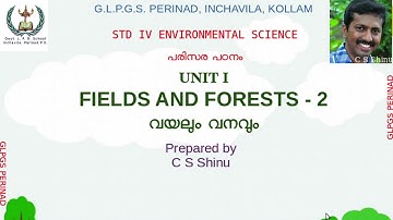 Fields and Forests 2  Std 4 EVS