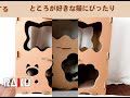 RAKU オリジナルデザイン 多頭 キャットハウス