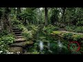 Sound Relaxation Therapy Rain to Support Relaxation