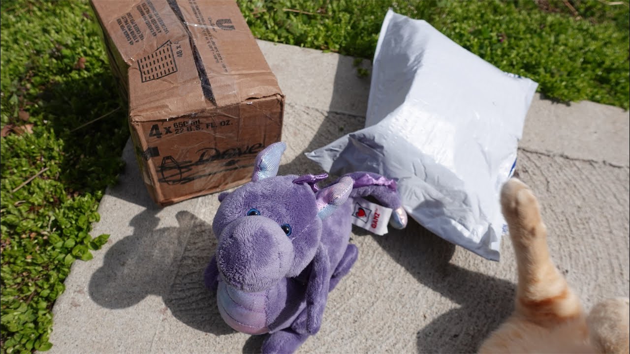 Opening some Webkinz Packages ft. a cat